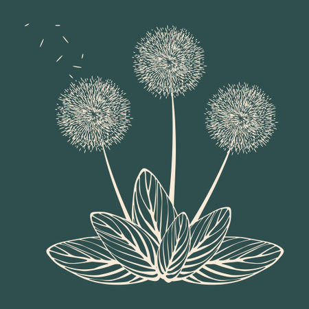 Decorative dandelion flowers light pink with striped leaves on a green background. Template for printing on pillows, covers, T-shirts, covers. Vector illustration.のイラスト素材