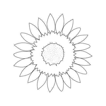 Sunflower flower on a white background without color with a black outline. Coloring book. Vector graphics.のイラスト素材