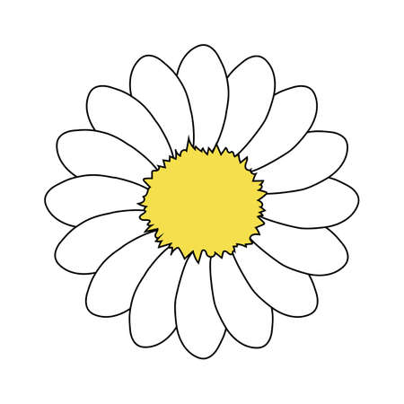 Chamomile flower on a white background. Postcard Summer cute sunny for printing on kitchen textiles, interiors, floral prints. Vector graphics.のイラスト素材