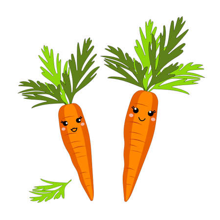 Cute carrot with cheerful emotions isolated on white background. Vegetables with carotene. Illustration for stickers, printing in grocery online stores, children's decor. Vector graphics.のイラスト素材