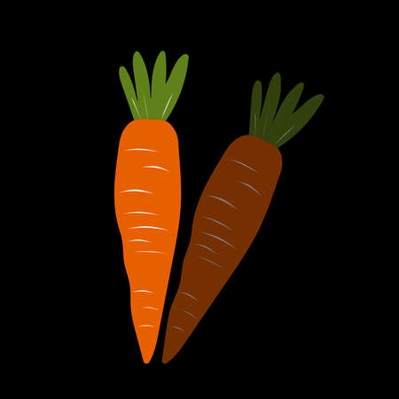 Cute carrot on black background. Vegetables with carotene. Illustration for printing in grocery online stores, children's decor.の写真素材