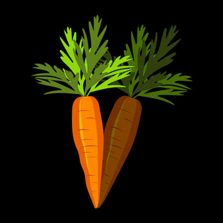 Cute carrot on black background. Vegetables with carotene. Illustration for printing in grocery online stores, children's decor.の写真素材