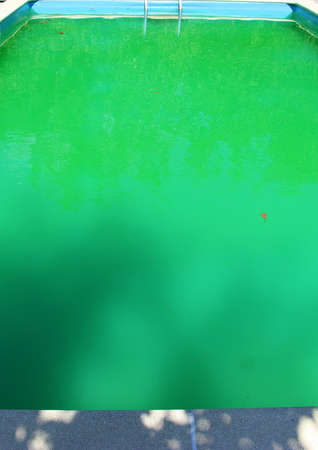 The pool water began to turn green from bacteria and algae without chemistry. Water purification is...