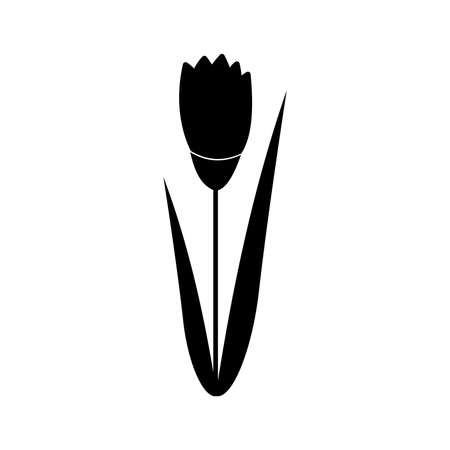 Tulip black isolated on white background. Spring flower silhouette. Stencil for greeting cards.の写真素材