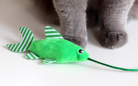 Plush green fish and plush gray cute paws of a cat. cat fishing. meow poster.の写真素材
