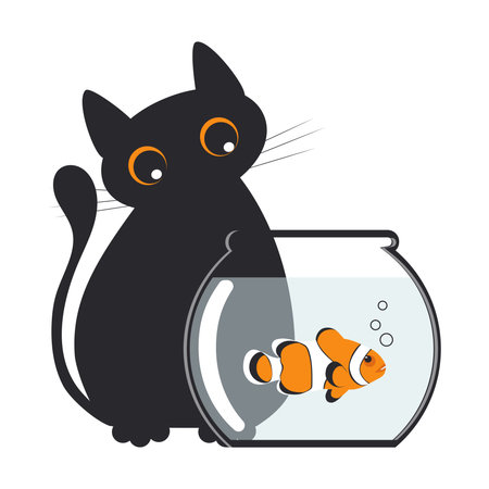 Funny cute black fat cat is watching on a clown fish in an aquarium isolated on a white background.の写真素材