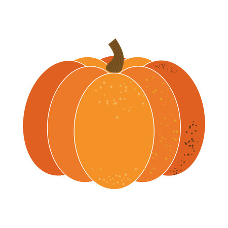 Ripe pumpkin isolated on white background. Vector.のイラスト素材