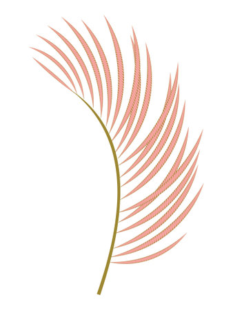 Palm pink decorative leaf isolated on white background.の写真素材