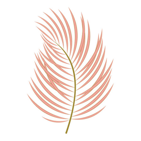Palm pink decorative leaf isolated on white background. Vector.のイラスト素材