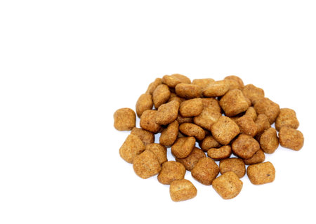 Dry balanced food for cats and dogs in the form of square granules on a white background. Top view.の写真素材