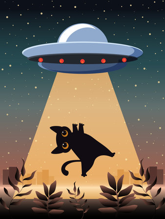 A funny black cat descends from a spaceship onto planet Earth.の写真素材