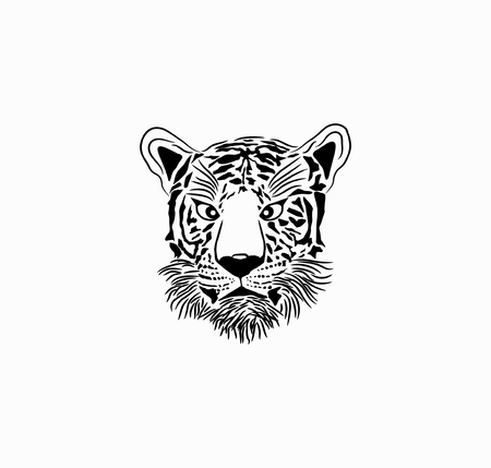 Tiger sketch isolated background.のイラスト素材
