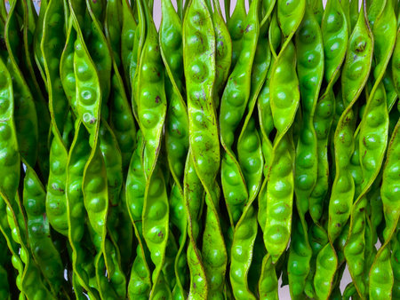Parkia speciosa  seeds are a  vegetable food