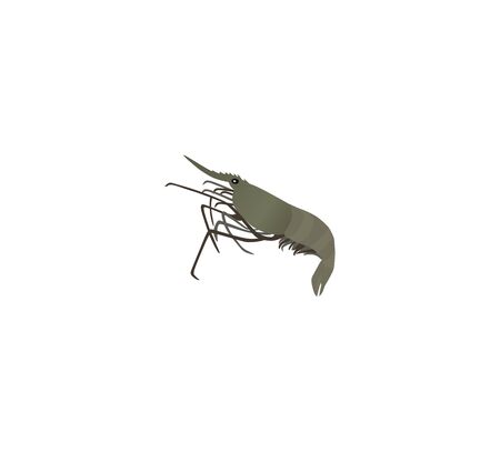 Shrimp Logo. Isolated shrimp on white backgroundのイラスト素材