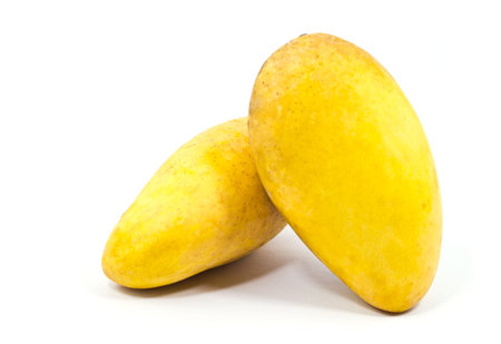 Yellow mango isolated on white background