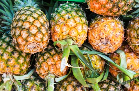 Closeup pineapple for sale in local marketの写真素材
