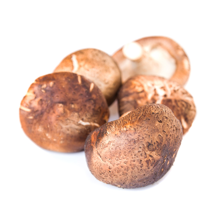 Small group of japanese mushrooms, isolated on white or Shiitake Mushroom isolated on whiteの写真素材
