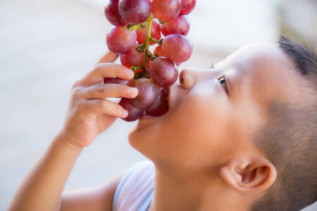 Closeup a boy eating red grapesの写真素材