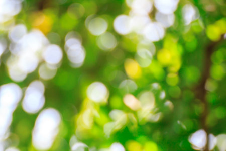 Abstract green bokeh light backgroundの写真素材