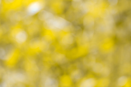 Defocused gold abstract blur backgroundの写真素材