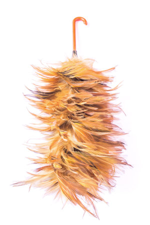 Feather cleaning on isolated white background
