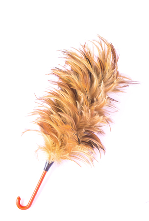 Feather cleaning on isolated white backgroundの写真素材