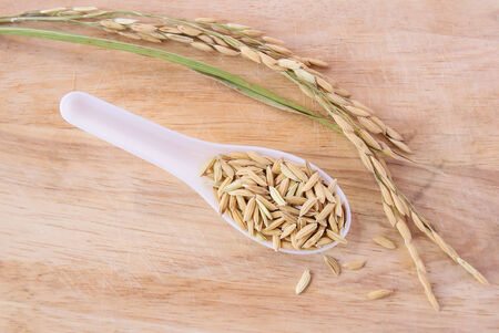 Rice seeds in white spoon on wood backgroundの写真素材