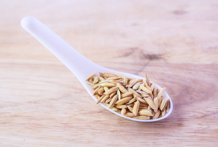 Rice seeds in white spoon on wood backgroundの写真素材