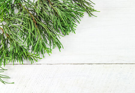 Christmas frame of pine tree branches. wood backgroundの写真素材