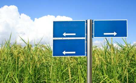 Blue traffic sign with green paddy rice and blue sky background