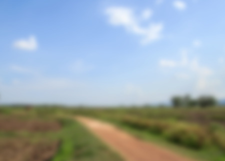 Blur background with local road in agricultural areaの写真素材
