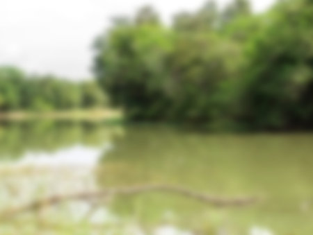Blur background with Forest and lake in the natureの写真素材