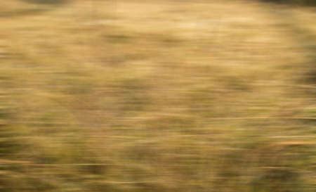 Blurred abstract background and old texture. Blur backgroundの写真素材