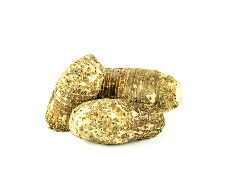 Close up fresh taro on white backgroundの写真素材