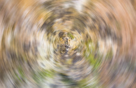 Blurred abstract background and old texture. Blur backgroundの写真素材