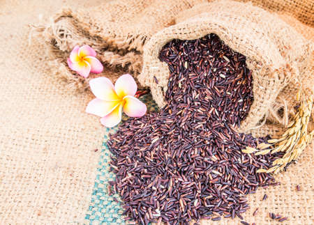 Close up raw purple rice berry in burlap sack backgroundの写真素材