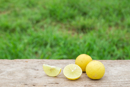 Fresh lemon on wooden table with green grass backgroundの写真素材