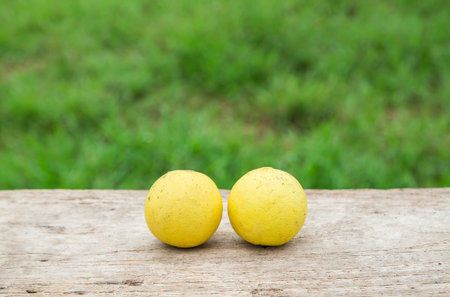 Fresh lemon on a wooden table with green grass background