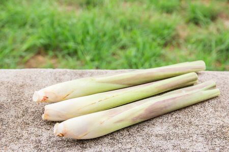 Fresh lemon grass on the cement floor backgroundの写真素材