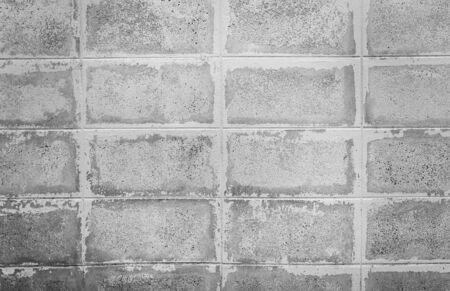 Hi res black and white grunge background for any designの写真素材