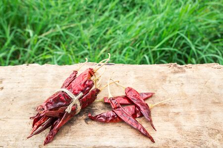 Bundle of dried chili peppers on wooden with green grass backgroundの写真素材