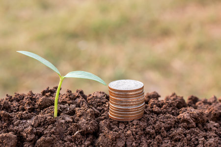 Coin and green seedling growing out of soil in sunshine with blurred background