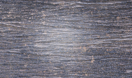 Texture of bark wood use as natural background. Wooden background for any design