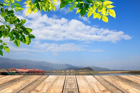 Green leaves and wooden table with blured blue sky background.Copy space for designの写真素材
