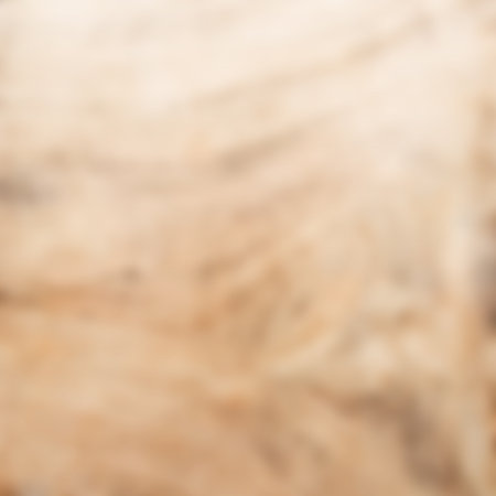 Abstract blurred  wood background and texture with copy space for any design. Blur background for web banner desing.の写真素材