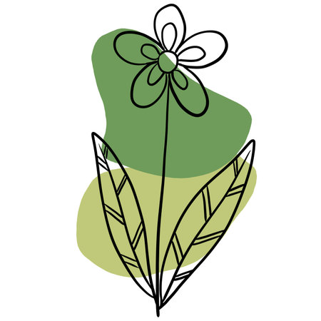 Hand drawn tropical flower and forest leaves elements with blob shapes backgroundの写真素材