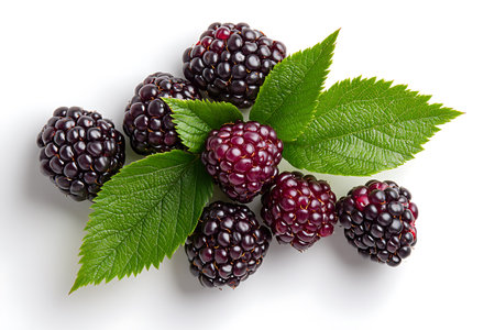Blackberries with leaves isolated on white background. Top view. Flat lay pattern.