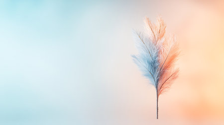 Feathers on blue and pink background with copy space for textの写真素材