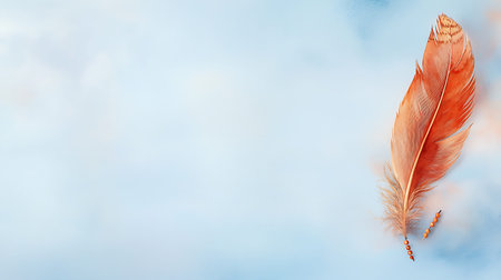Feathers on a blue background with space for your text.