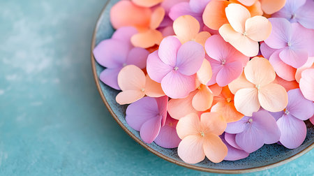 Colorful hydrangea flowers in a plate on a blue background